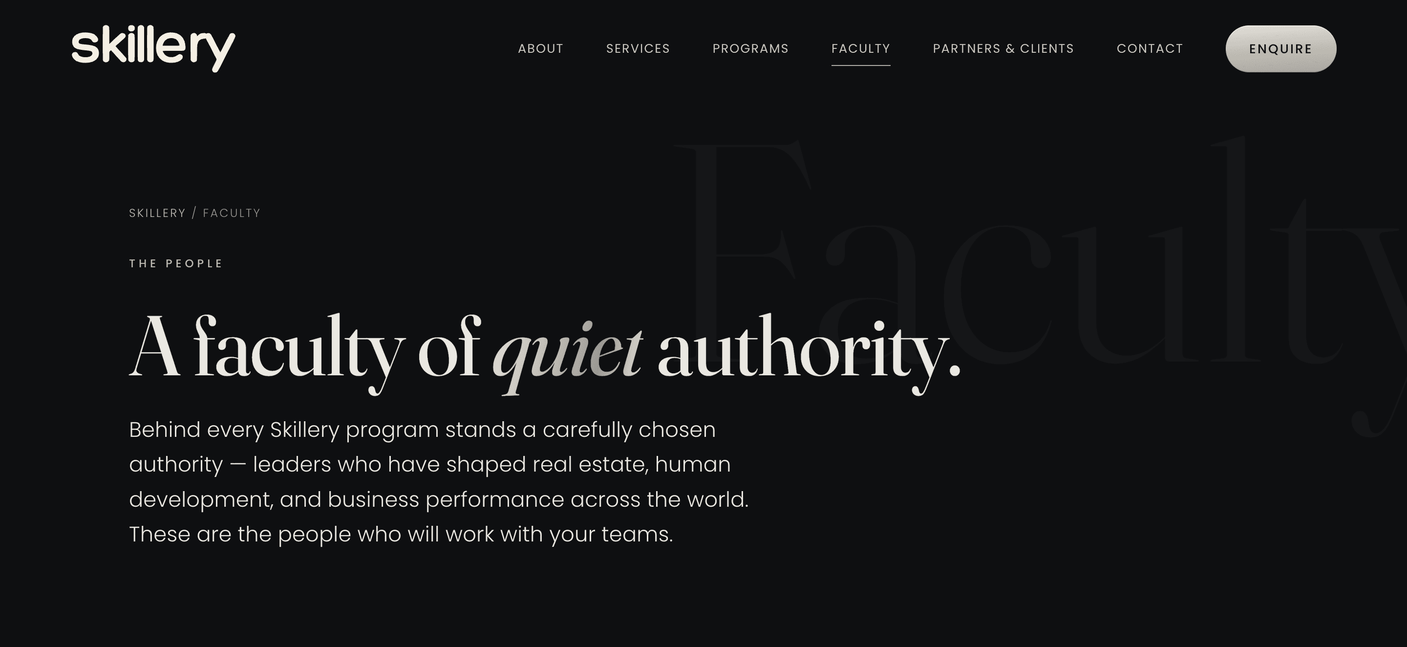 Skillery — interface preview 2
